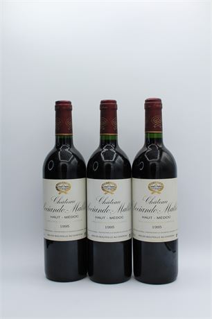 Château Sociando-Mallet 1995 - 3 bouteilles - 750ml