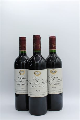 Château Sociando-Mallet 1995 - 3 bouteilles - 750ml