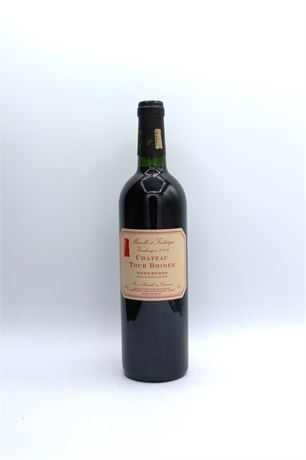 Château Tour Boisée Minervois 2009 - 1 bouteille - 750ml