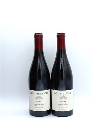 Bachelder Lowrey Pinot Noir 2012 - 2 bouteilles - 750ml