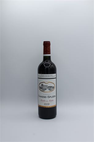 Château Chasse-Spleen 2009 - 1 bouteille - 750ml