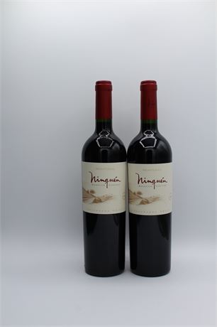 Ninquen Mountain Vineyard 2012 - 2 bouteilles - 750ml